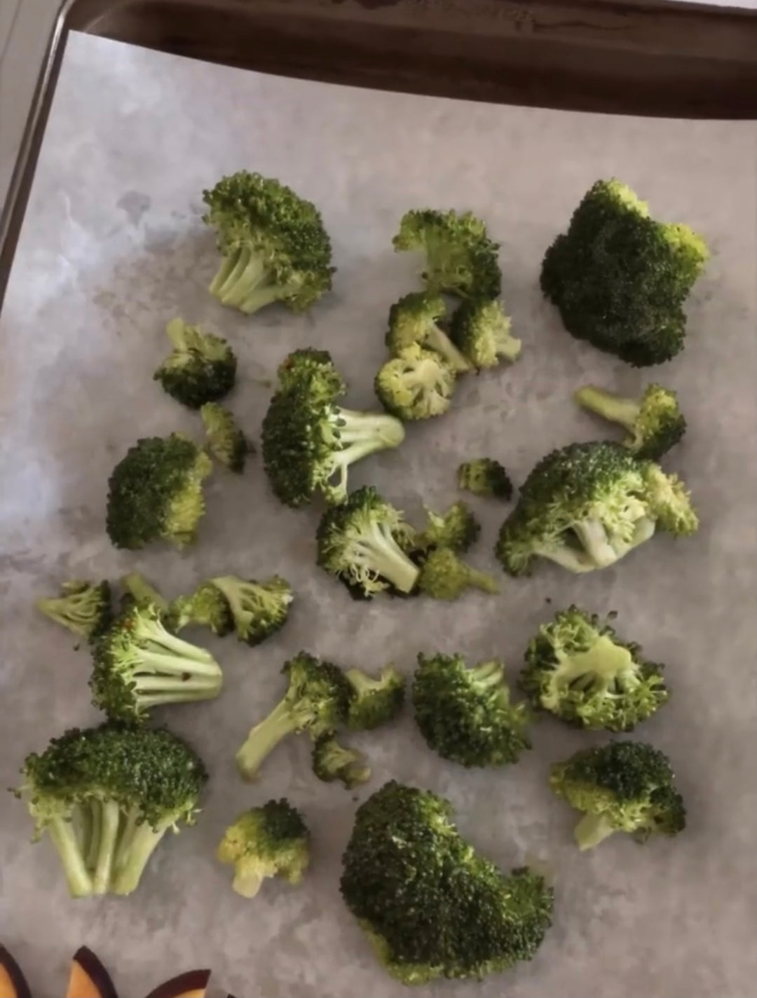 Meal Plans